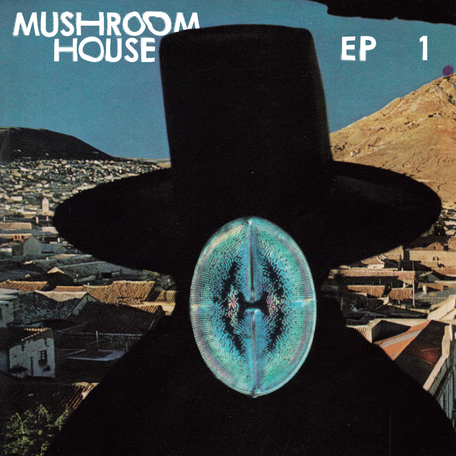 TOYT052: Mushroom House EP1