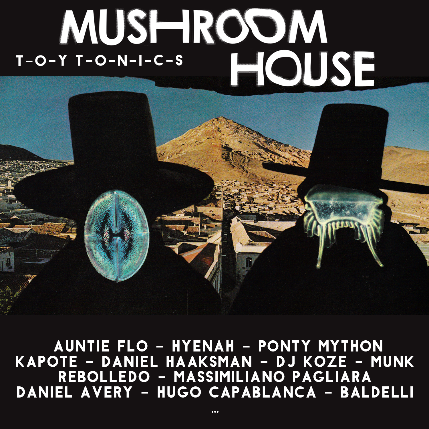 TOYT050: Mushroom House Compilation